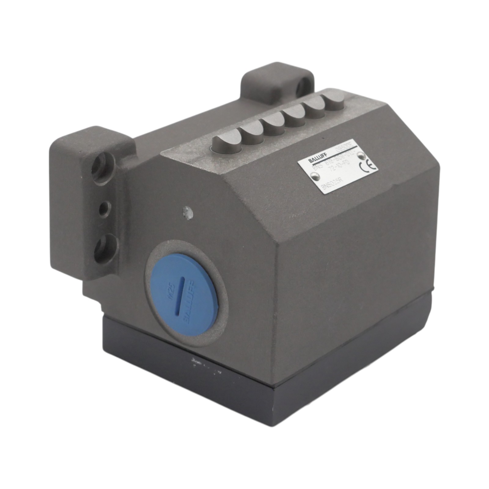 BNS 819-B06-D12-72-10-FD, BNS025R