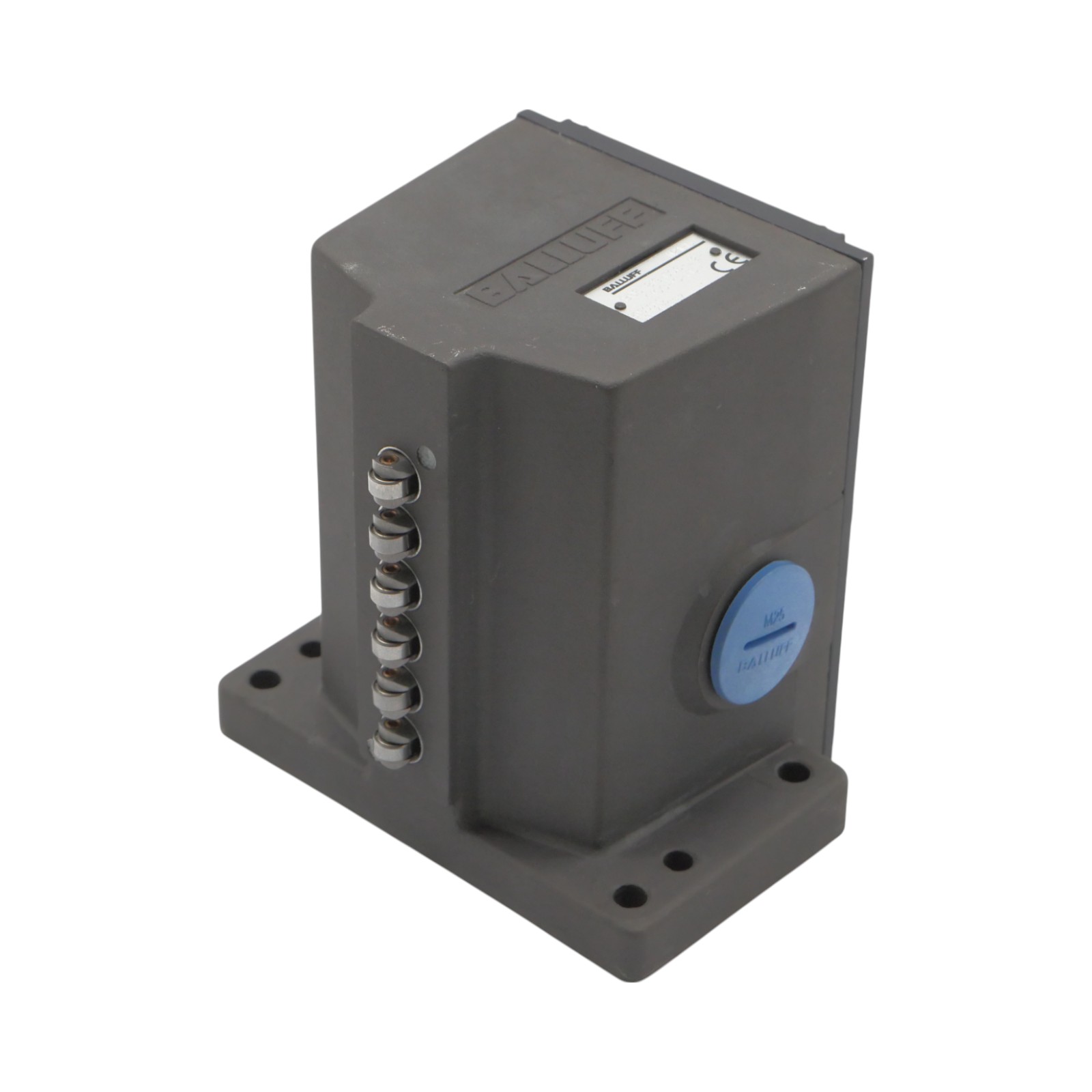 BNS 819-D06-L12-100-10-FD, BNS00LC