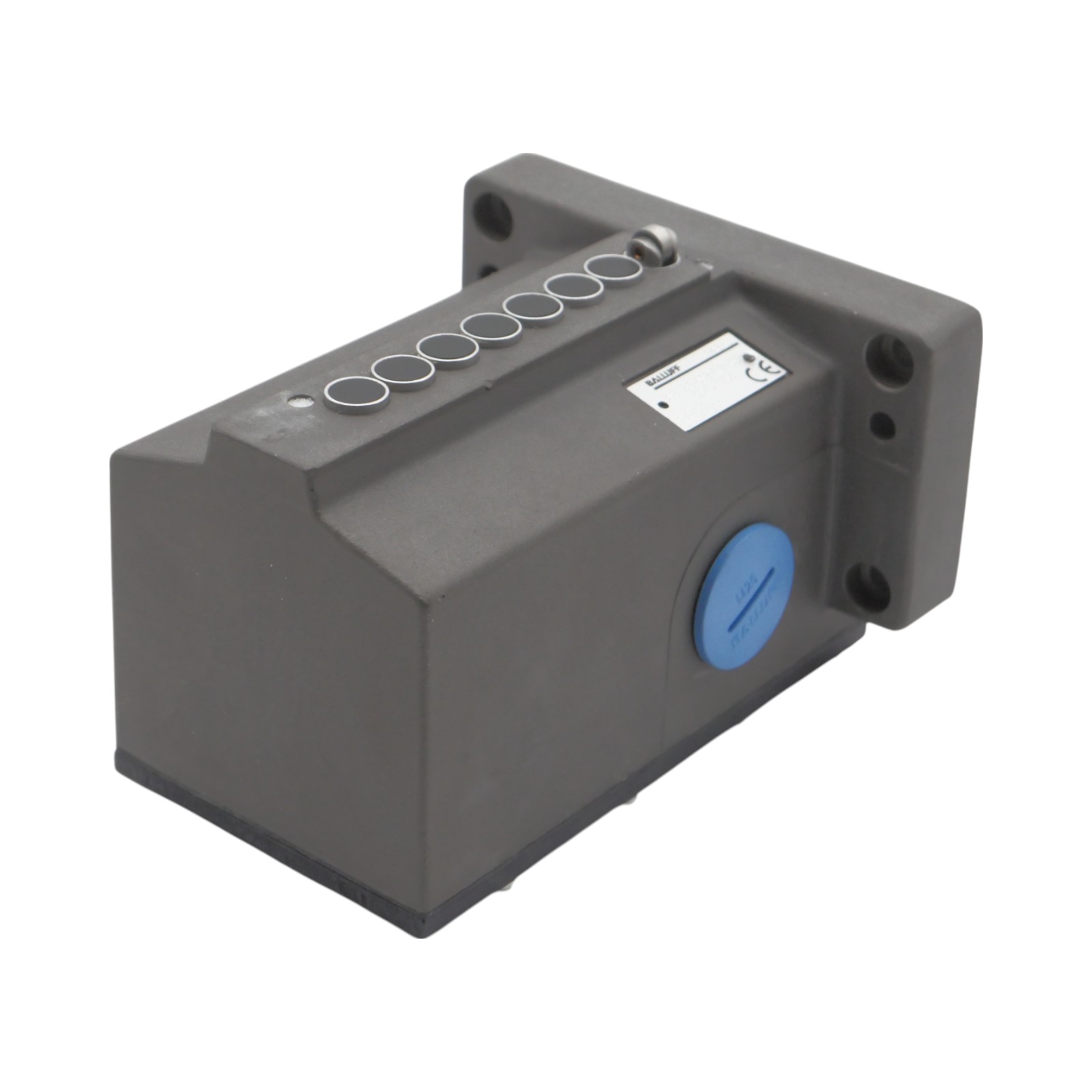 BNS 819-D08-R12-100-55-FD-0303