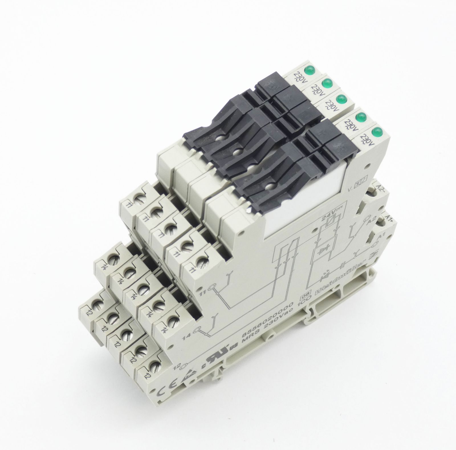 8556020000, RSS113024